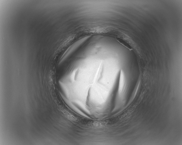 X0000054420305200508192104