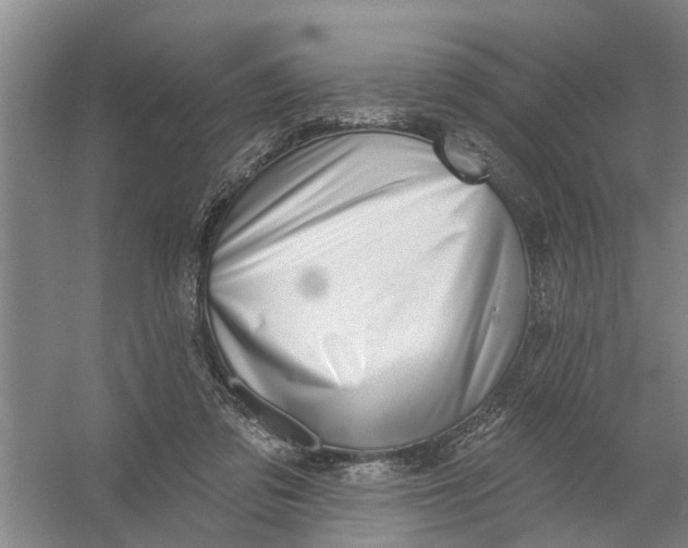 X0000054420309200508192104