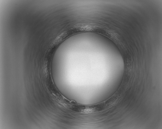 X0000054420312200508192104