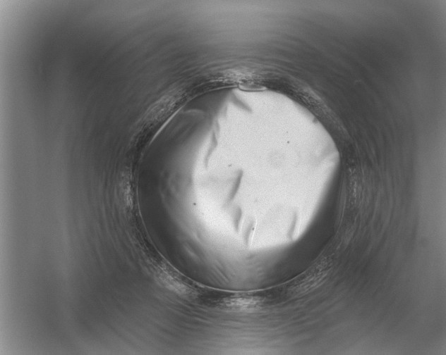 X0000054420313200508192104