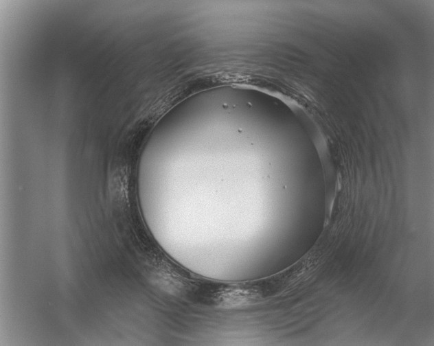 X0000054420315200508192104