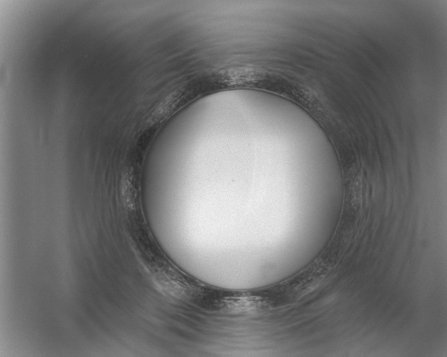 X0000054420316200508192104