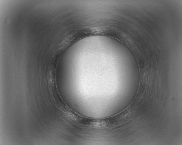 X0000054420317200508192104