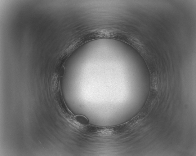 X0000054420318200508192104