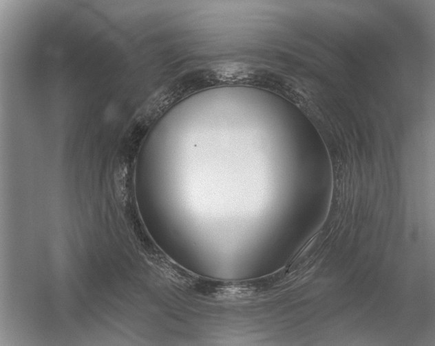 X0000054420319200508192104