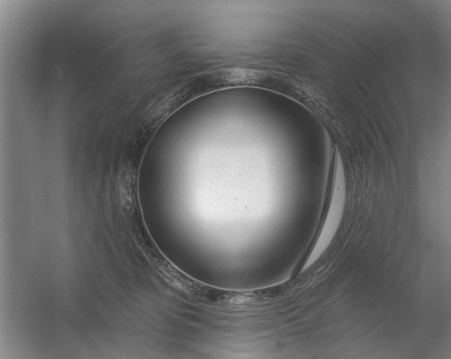 X0000054420325200508192104
