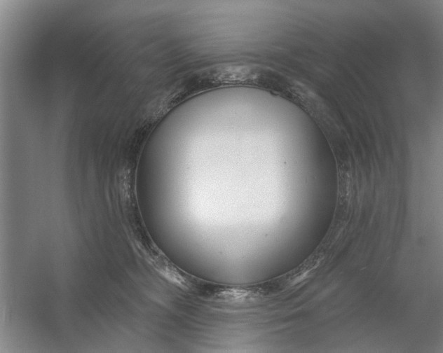 X0000054420326200508192104