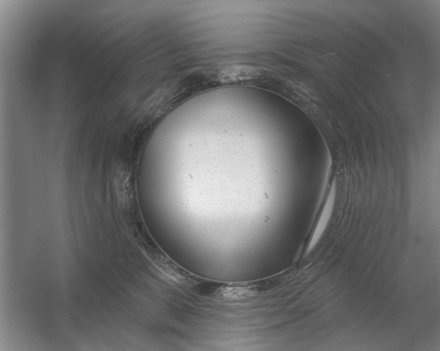 X0000054420327200508192104