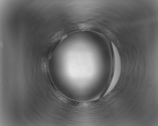 X0000054420329200508192104