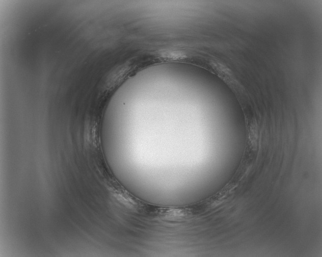 X0000054420330200508192104