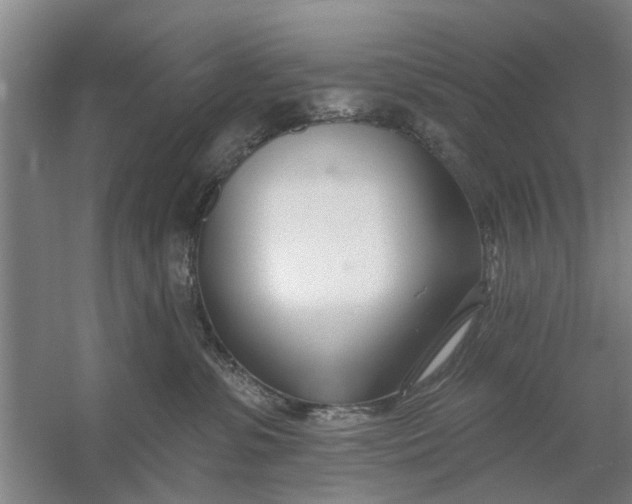 X0000054420331200508192104