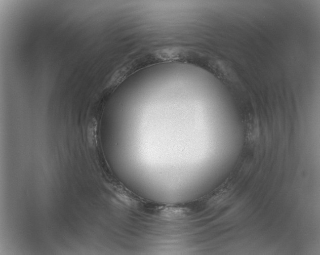 X0000054420332200508192104