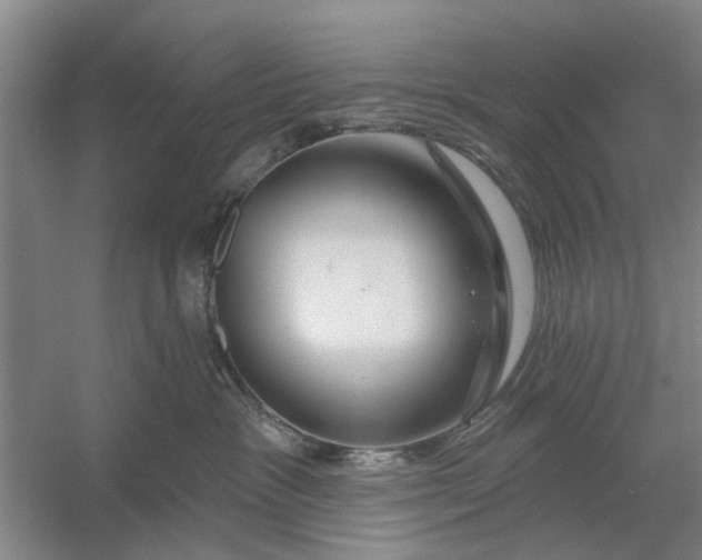 X0000054420333200508192104