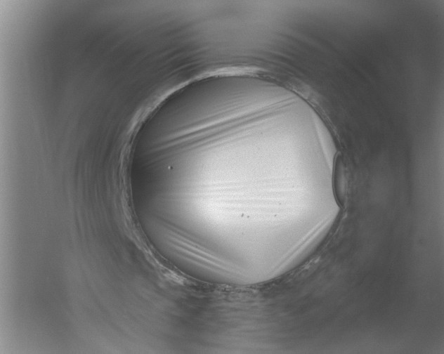X0000054420337200508192103