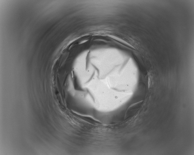 X0000054420339200508192103