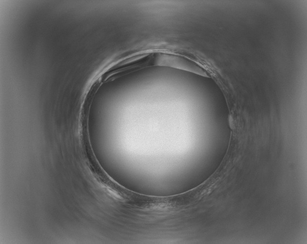 X0000054420344200508192103