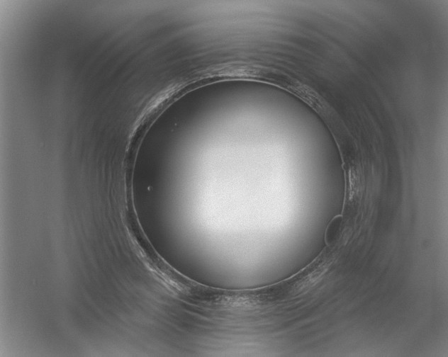 X0000054420349200508192103