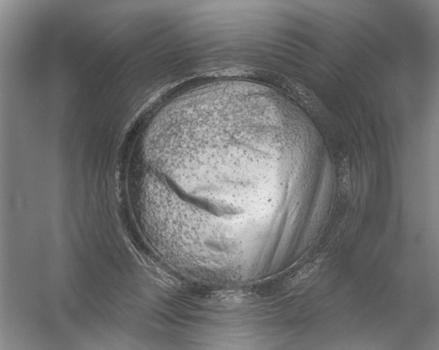 X0000054420351200508192103