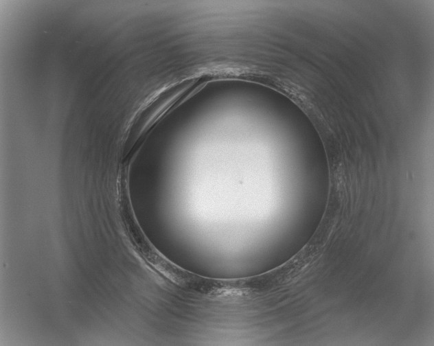 X0000054420352200508192103
