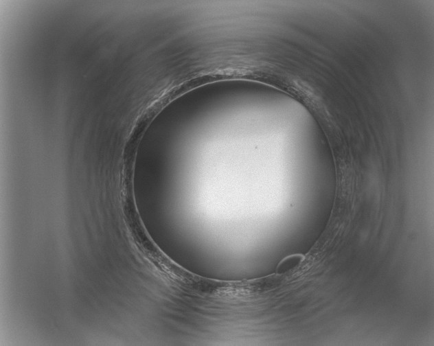 X0000054420354200508192103