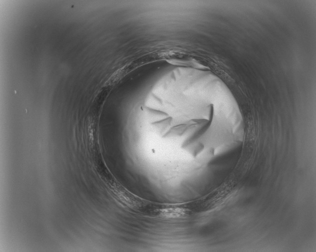 X0000054420363200508192103