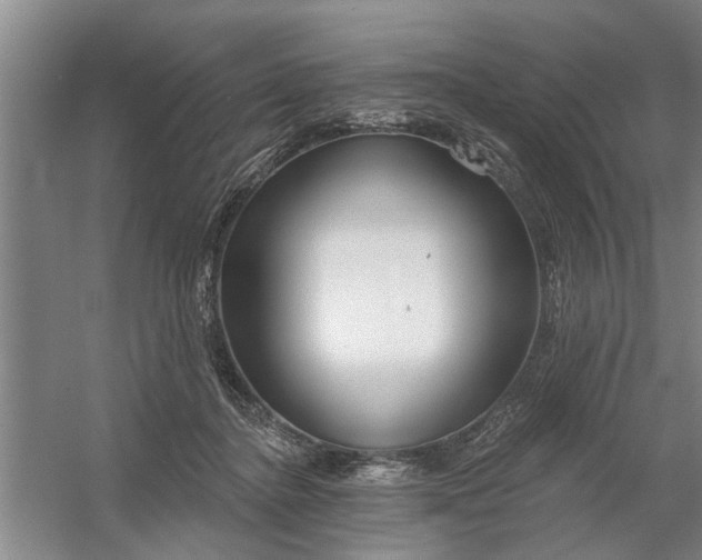 X0000054420364200508192103
