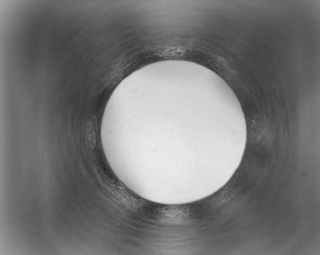 X0000054420370200508192103
