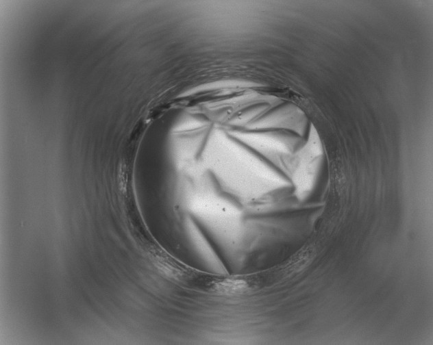 X0000054420374200508192104