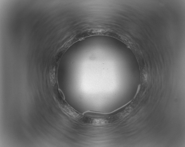 X0000054420376200508192104