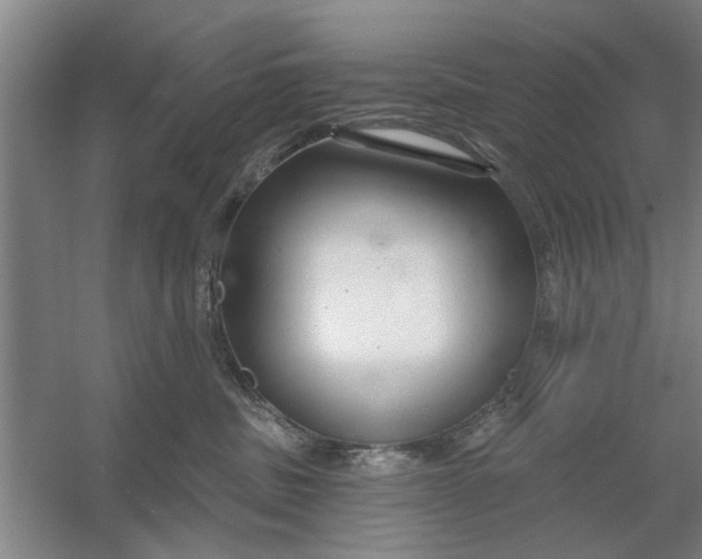 X0000054420379200508192104