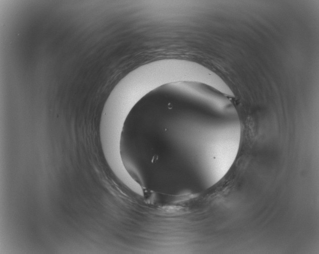 X0000054420380200508192104