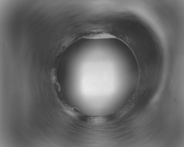 X0000054420383200508192104