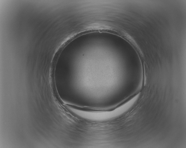 X0000054420387200508192103
