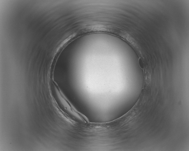 X0000054420390200508192103