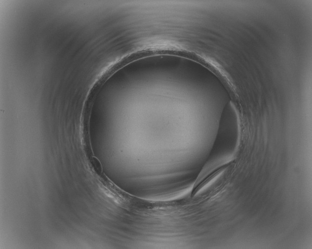 X0000054420391200508192103