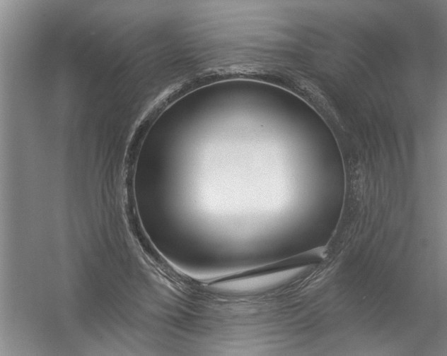 X0000054420395200508192103