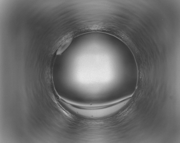 X0000054420397200508192103