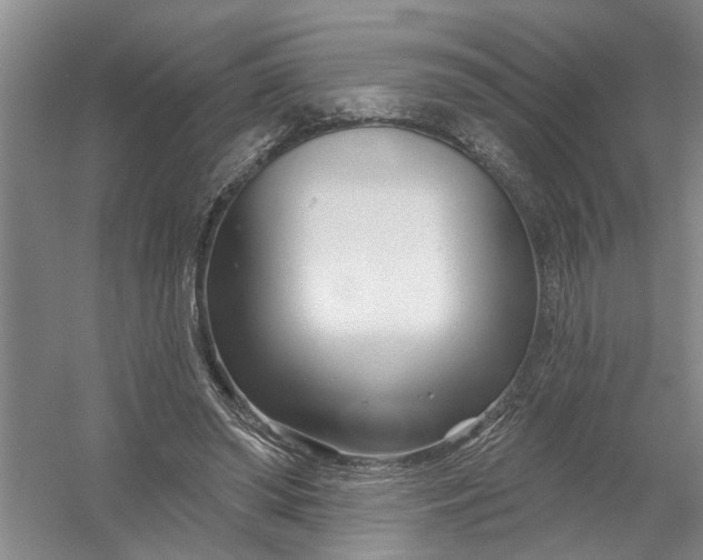 X0000054420398200508192103
