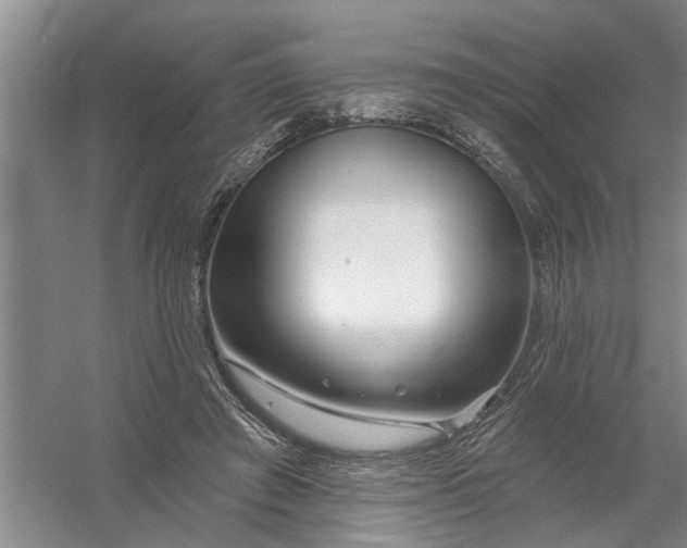 X0000054420401200508192103