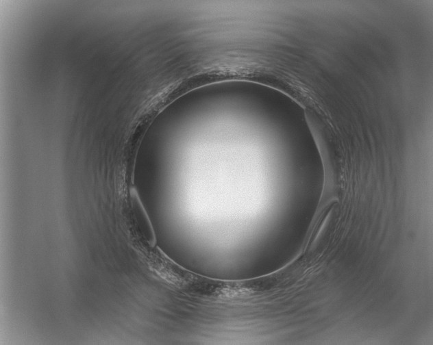 X0000054420403200508192103