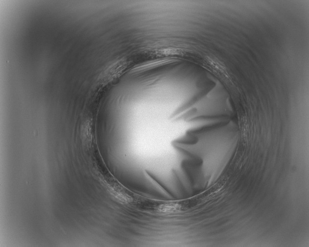 X0000054420410200508192102
