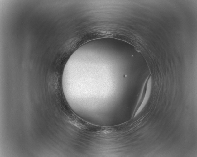 X0000054420412200508192102