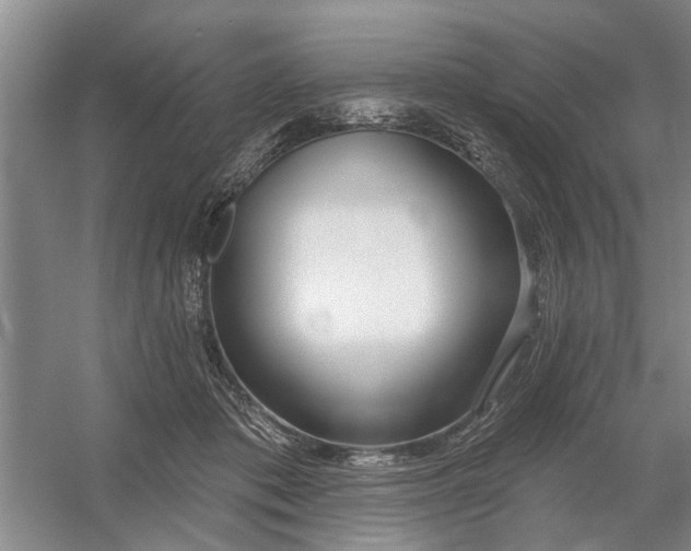 X0000054420413200508192102