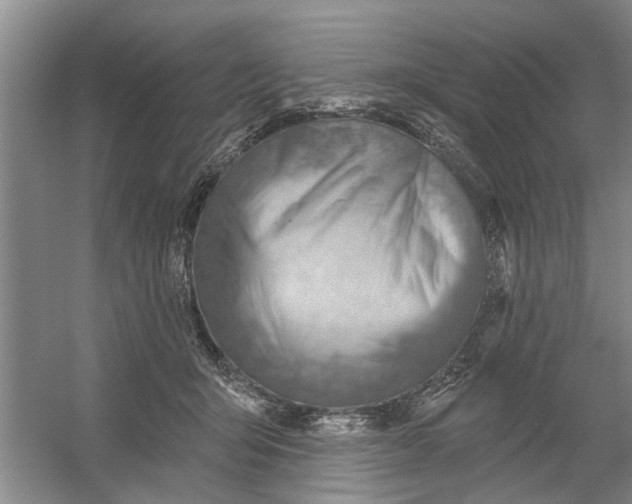 X0000054420415200508192102