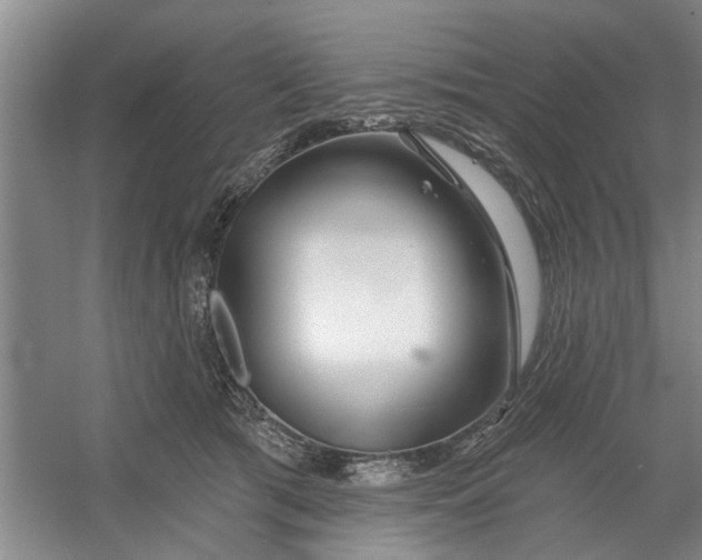 X0000054420417200508192102