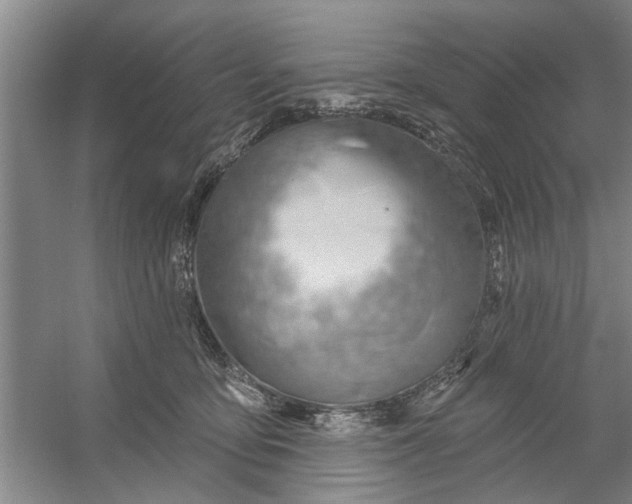X0000054420419200508192102