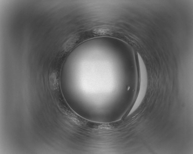 X0000054420420200508192102