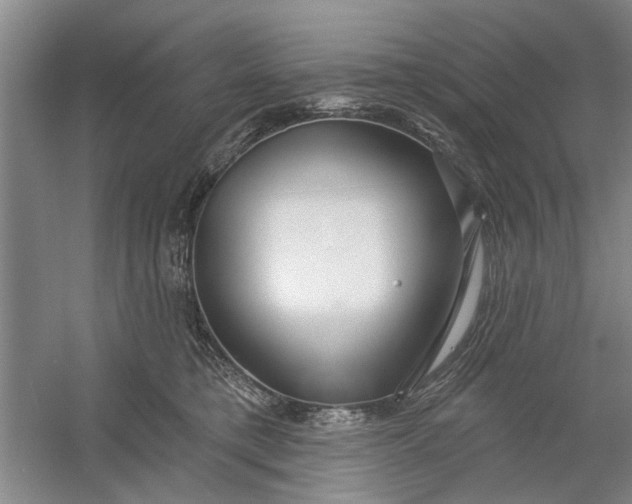 X0000054420421200508192102