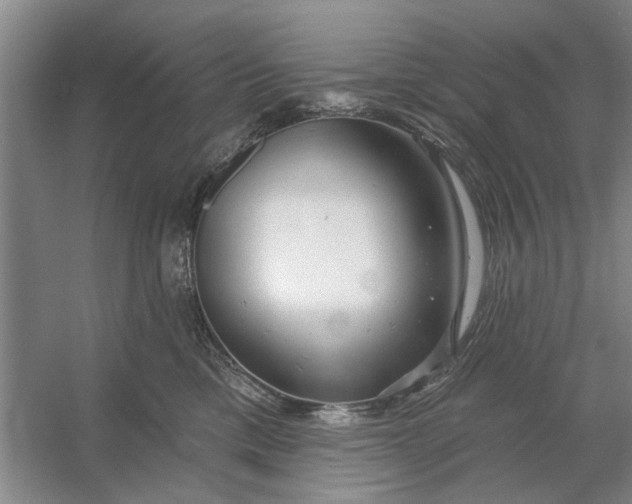 X0000054420425200508192102