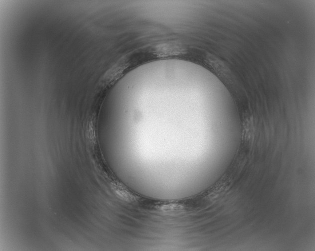 X0000054420426200508192102